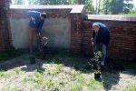 Miniatura zdjęcia: Prace w ogrodzie przy filii Szpitala Na Wyspie oraz DPS-u w Lubsku